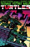 TEENAGE MUTANT NINJA TURTLES COLOR CLASSICS #1 